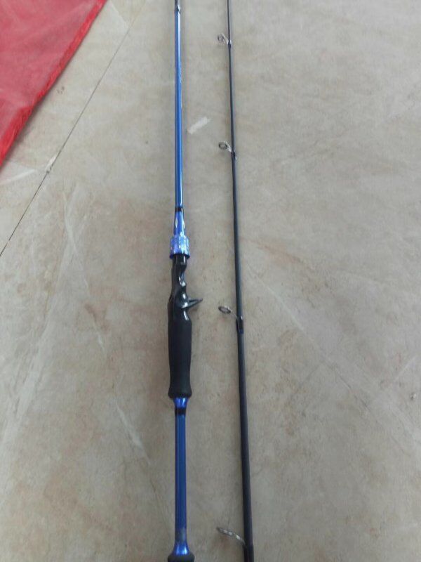 Carbon 2-Piece Fishing Rod Set