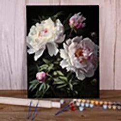 Peony Flowers DIY Paint By Numbers Package Oil Paints