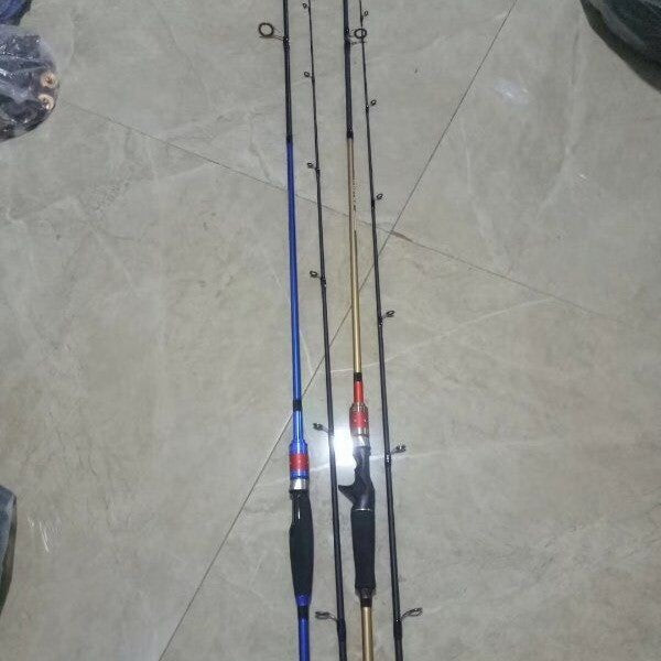Carbon 2-Piece Fishing Rod Set