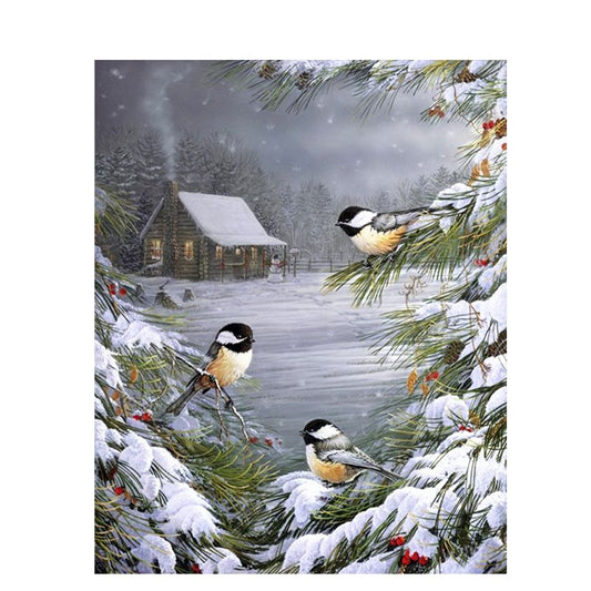 Birds in a Snowy landscape, paint by number Acrylic Paint Kit, Size: 40cm x 50cm